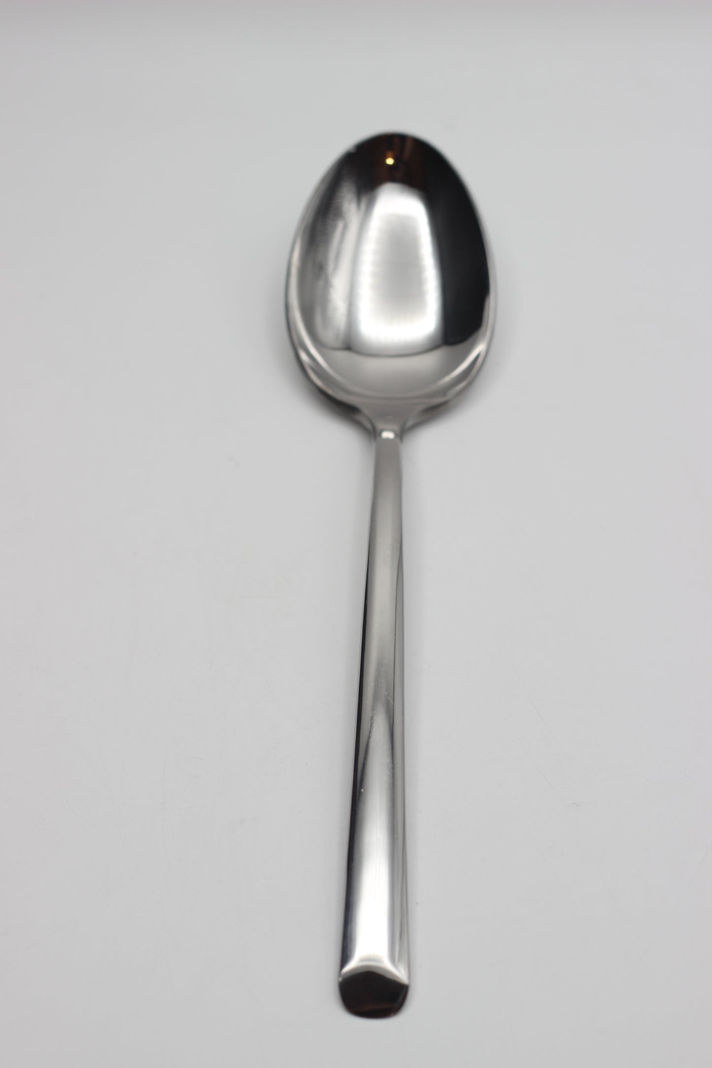 Long Handle Stainless Steel Spoons